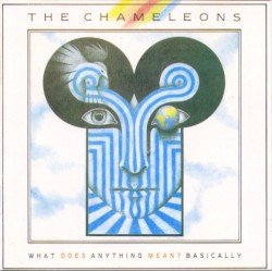 The Chameleons - What Does Anything Mean?  Basically (1985)