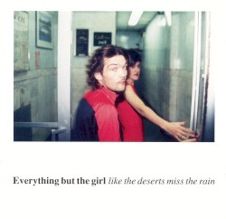 Everything But The Girl - Like The Deserts Miss The Rain (2002)